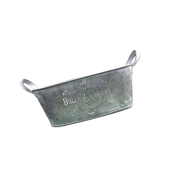 Metal Pail Flower Pots Raised Garden Boxes Farmhouse Plant Bucket Garden Planter Container Metal Flower Bucket