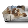 thumbnail image 3 of Funny Soft Flannel Fleece Throw Blanket, Cat and Dogs Domestic Home Pets Friends Hilarious Expressions Sky Clouds Collage, Cozy Plush for Indoor and Outdoor Use, 50" x 70", Multicolor, by Ambesonne, 3 of 6
