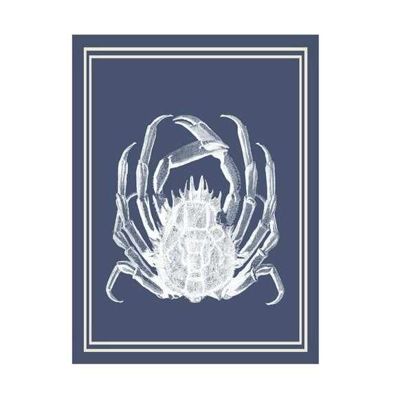 Fab Funky 'Mixed Nautical White on Indigo Blue V' Canvas Art