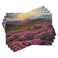 thumbnail image 1 of Ambesonne Nature Place Mats Set of 4, Flower Meadow Mountain, Standard Size, Multicolor, 1 of 6