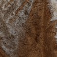 thumbnail image 3 of Tip Brown Faux Fur Throw, 3 of 3