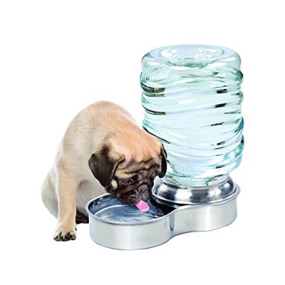 Automatic watering system for dogs hotsell