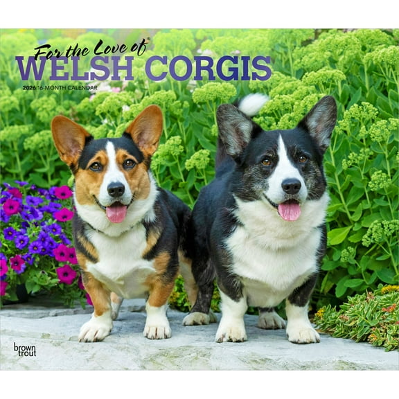 For the Love of Welsh Corgis | 2026 14x24" (Hanging) Wall Calendar | Plastic-Free