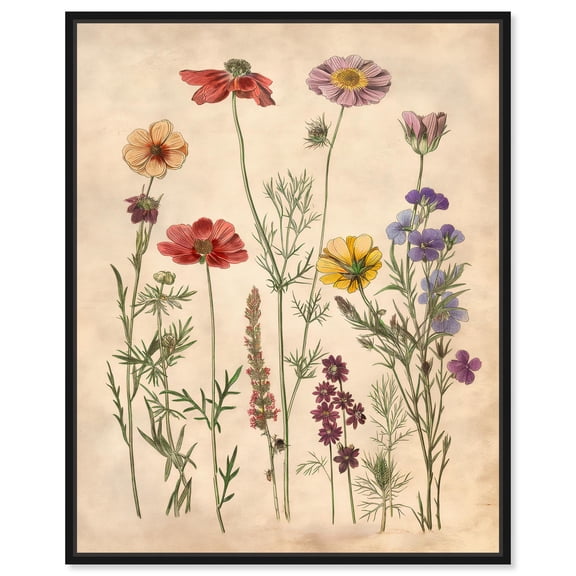 Pollinator Portrait II Canvas Delicate Floral Art by Art Remedy, Black Frame, 16 x 20