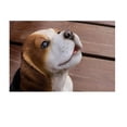 thumbnail image 3 of Figura de Resina Hi-Line Gift Ltd Cachorro Beagle aullando, 3 of 4