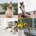 thumbnail image 3 of Juguete interactivo para gatos Leo's Paw Simulación de aves, 3 of 7