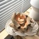thumbnail image 2 of INS Retro Driftwood Glass Candleholder Romantic Home Creative Glass Decoration Candle Holder Romantic Dinner Table Decor, 2 of 5