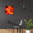 thumbnail image 4 of Epic Art 'Orange Flower on Black 02' by Tom Quartermaine, Acrylic Glass Wall Art, 24"x24", 4 of 8