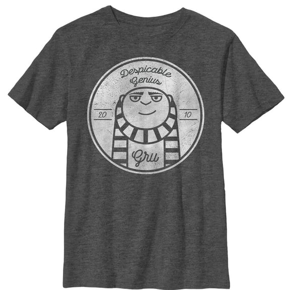 Boy's Despicable Me Gru Genius 2010  Graphic Tee Charcoal Heather X Large