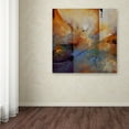 thumbnail image 3 of Trademark Fine Art "Influx" Canvas Art by CH Studios, 3 of 3