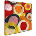 thumbnail image 2 of Trademark Fine Art 'Colorful Abstract Circles Square 2' Canvas Art by Amy Vangsgard, 2 of 3