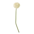 thumbnail image 2 of Hill Interiors Allium Stem Artificial Plant, 2 of 5
