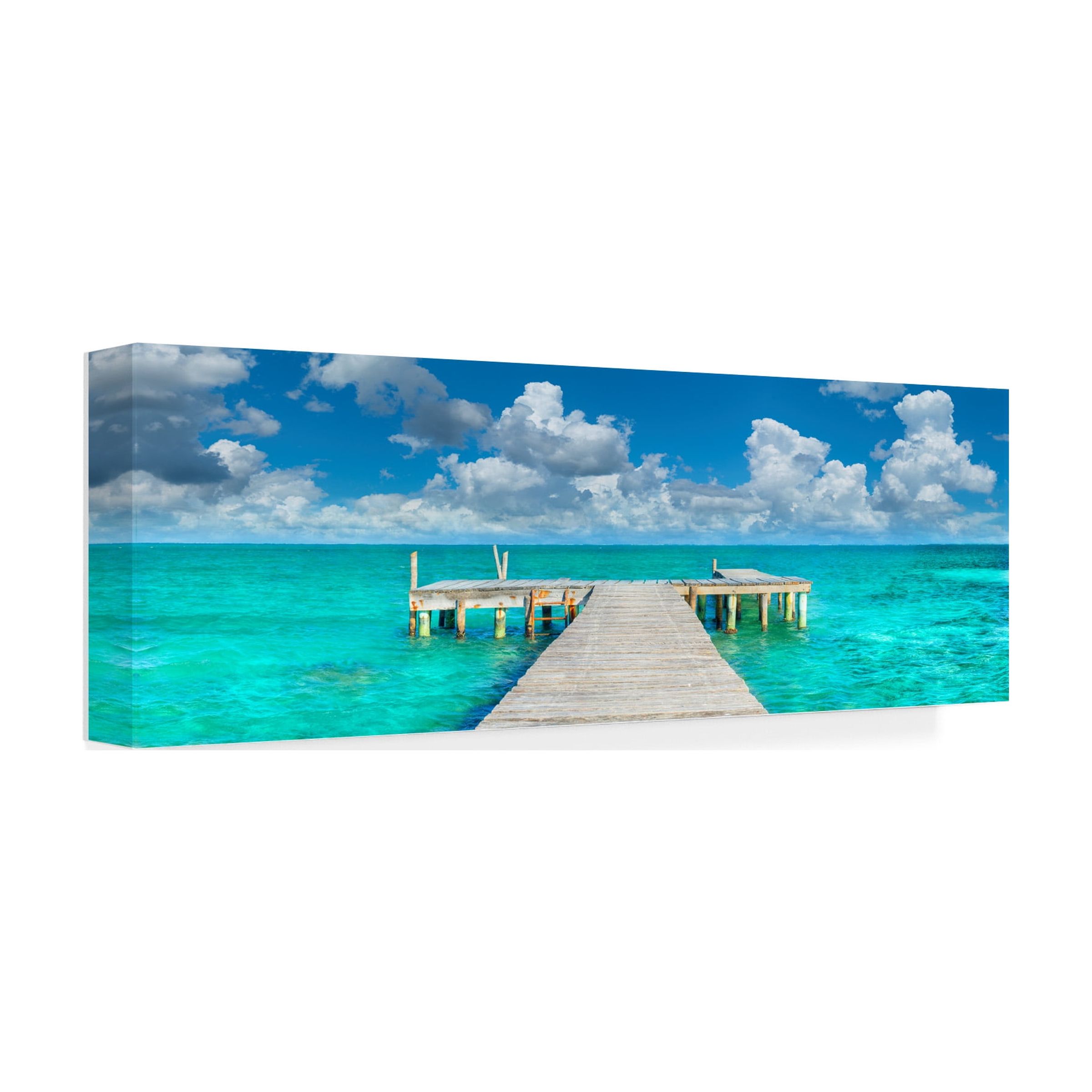 Trademark Fine Art 'In No Hurry' Canvas Art by Doug Cavanah