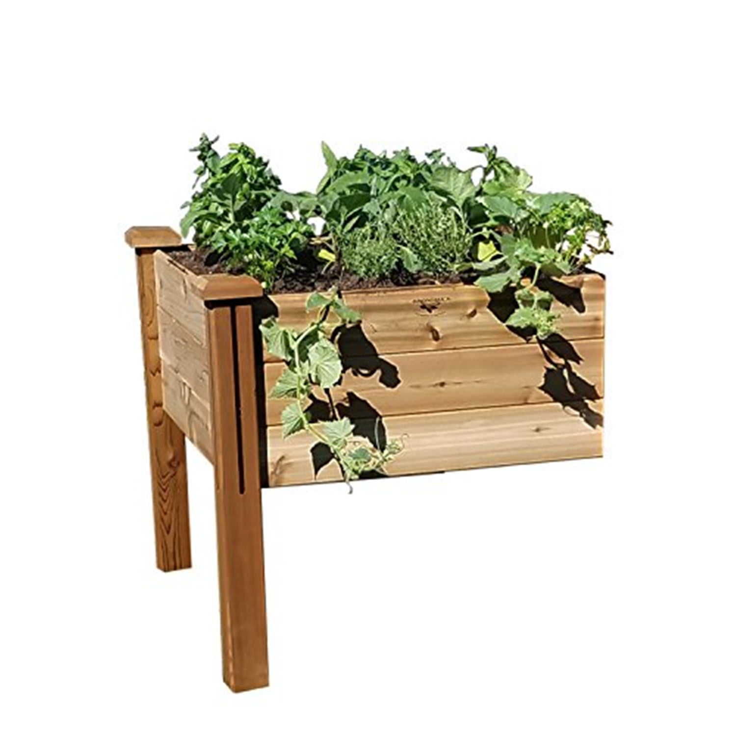 Elevated Garden Beds