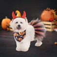 thumbnail image 4 of TIELUTT Halloween Pet Set for Cats Mesh Outfit with Pet Clothes for Small Dogs Female Pet Clothes for Cats for A Girl Pet Clothes for Cats Pet Clothes Hangers Metal Pet Clothes Hangers for Closet, 4 of 6
