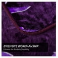 thumbnail image 4 of TiaGOC Plush Fleece Blanket Queen Size 91" x 75", 3.7LBs 1 Ply Soft Korean Mink Warm Lightweight Bed Blanket for Autumn Winter, 4 of 7