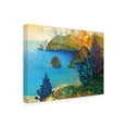 thumbnail image 2 of Trademark Fine Art 'The View From Here' Canvas Art by David Galchutt, 2 of 3