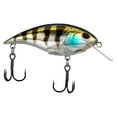thumbnail image 2 of Berkley Shallow Money Badger Fishing Crankbait, 2.5 in, Hybrid Baitfish-Crayfish, 2 of 6