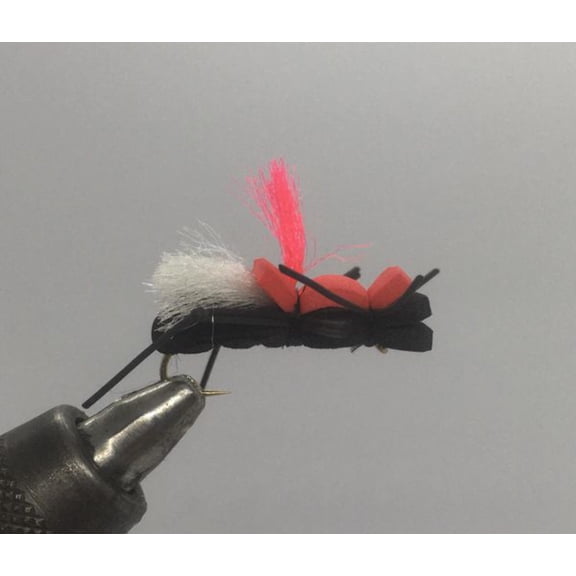 One Dozen (12) - Fat Albert - Black and Red - Terrestrial