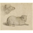 thumbnail image 2 of Hans Holbein The Younger 23x20 Black Ornate Framed Double Matted Museum Art Print Titled: Resting Lamb and Head of a Lamb (1523), 2 of 5