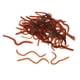thumbnail image 2 of Señuelo de Lombriz DYNWAVEMX Artificial Bionics De Silicona Suave Cebo, 2 of 8