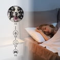 thumbnail image 4 of Personalized Wall Clock Non-Ticking Silent Clocks Battery Operated Round Clocks Decorative for Bathroom,Office-Happy Border Collie(16inch), 4 of 4