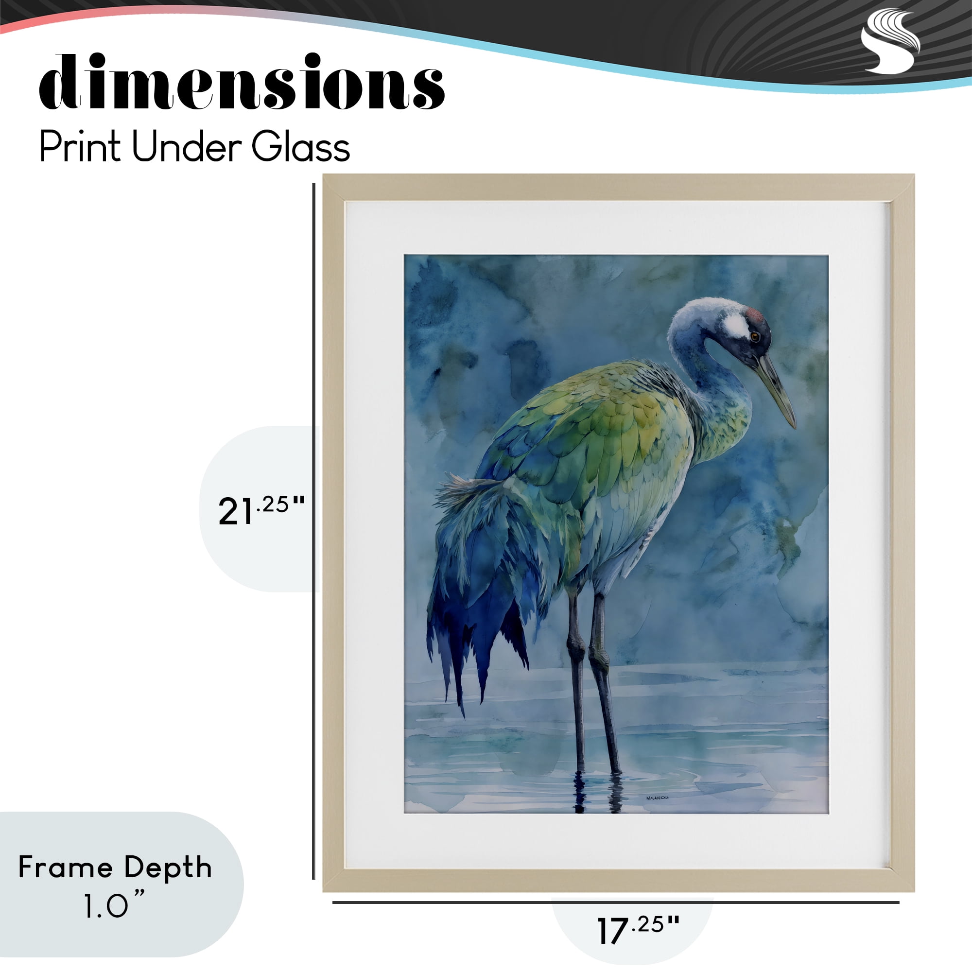 Stupell Industries Turquoise Feathered Coastal Bird Birch Framed Print Under Glass, design by Franklyn Gregory