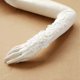 thumbnail image 2 of 1 Pair Bridal Gloves Fingerless Embroidery Lace Elbow Length Gloves For Wedding, 2 of 2