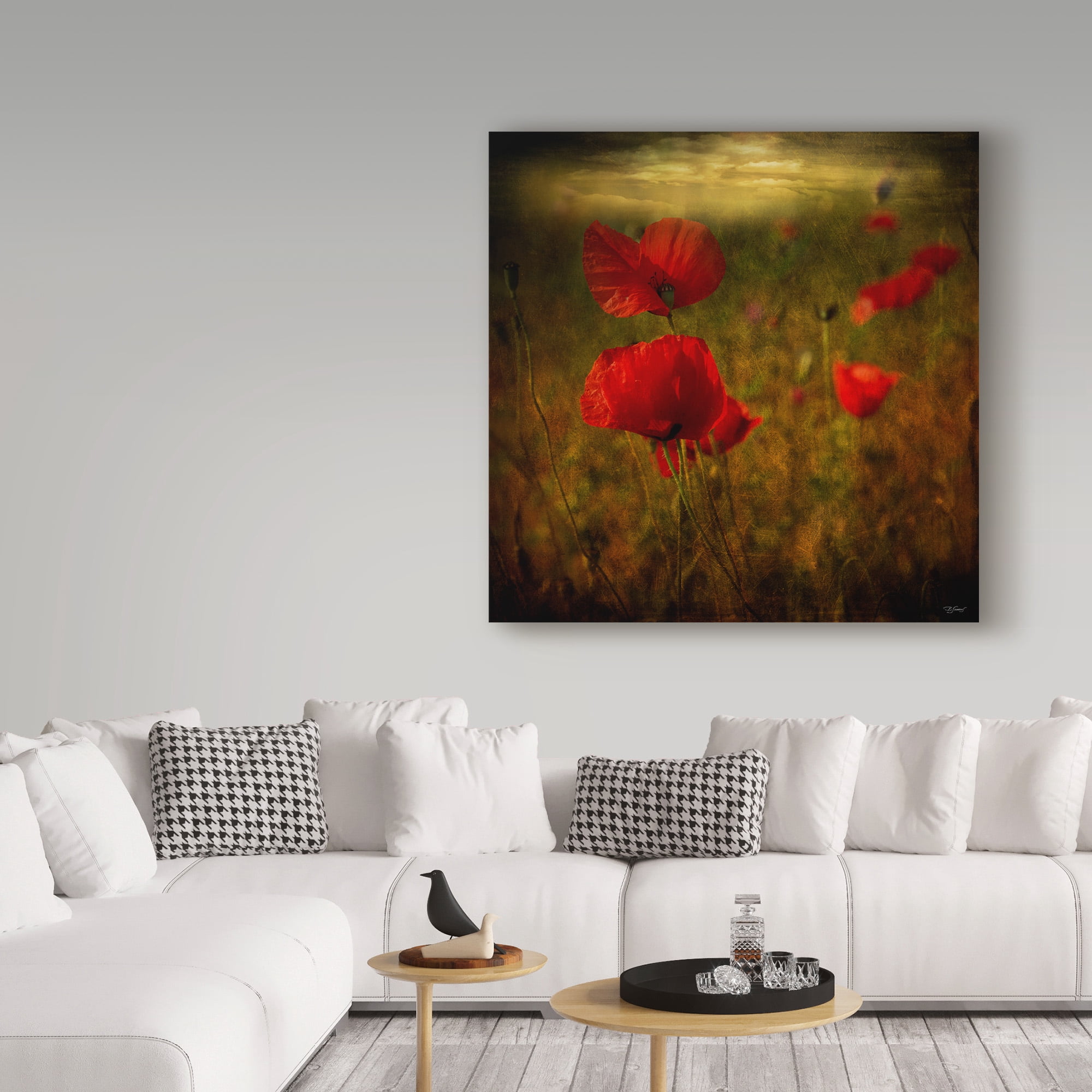 Trademark Fine Art 'Fields Of Red Ii' Canvas Art by Barbara Simmons