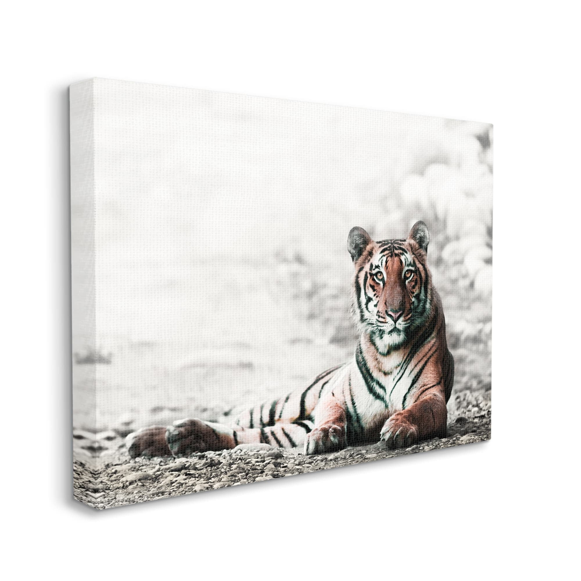 Stupell Industries Tiger Cat Resting Animal Portrait Striped Feline, 40 x 30,Design by Danita Delimont