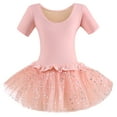 thumbnail image 3 of Girls Ballet Dress with Tutu, Sparkly Skirted Leotard, Stretch Dancewear for Ballet & Dance Class, 3 of 6