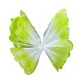 thumbnail image 2 of Mariposa artificial gigante para decoración, accesorios de fotografía, adorno divertido para manualidades. Gradiente verde, 2 of 9