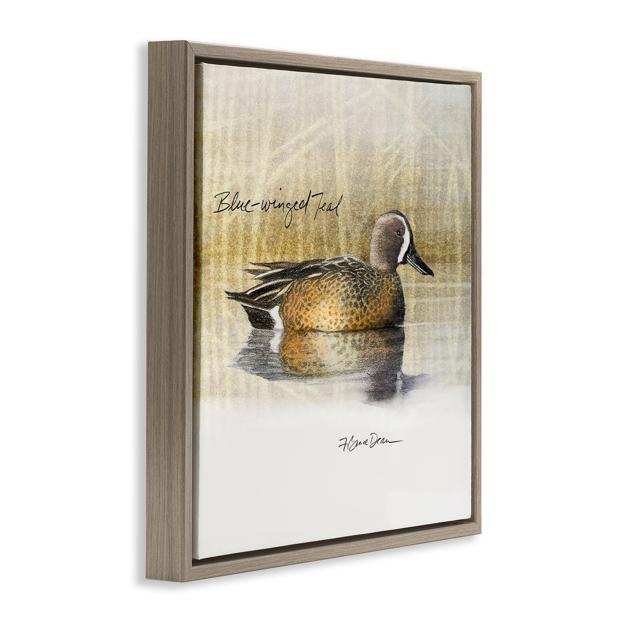 Stupell Industries Blue Winged Teal Duck Animals Painting Brown Floater Framed Canvas Art Print Wall Art, 25 x 25
