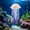 Pink, variant on Cififendec Floating Silicone Aquarium Jellyfish Ornament, 4.53"×2.56", Clear Glowing Artificial Jellyfish for Fish Tank Desktop Aquascape Underwater Landscape Decoration