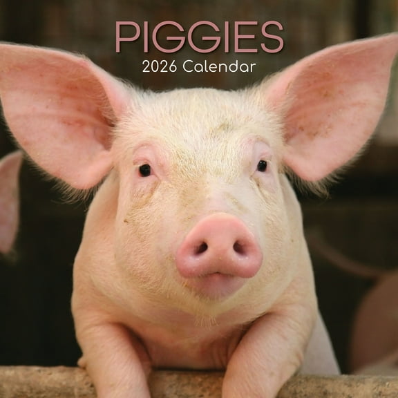 The Gifted Stationery Piggies 2026 Square Wall Calendar - 16-Month Span 2026-2026 Calendar With 180 Reminder Stickers - Hanging 12x12 Wall Planner - Sept 2025-Dec 2026