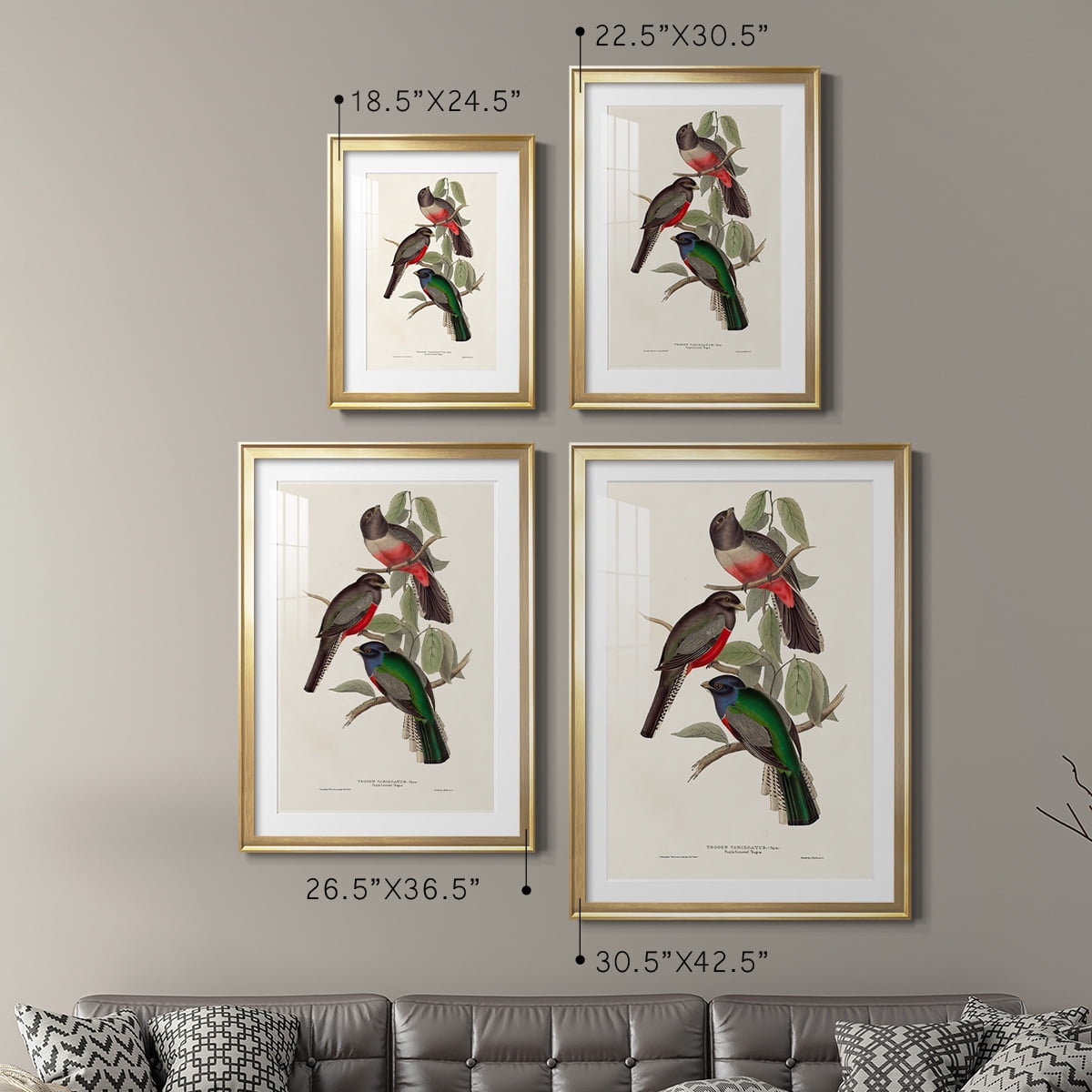 Wexford Home Elegant Trogons V Premium Framed Print, 18.5" x 24.5" - Ready to Hang, Gold (Set of 2)