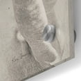 thumbnail image 3 of Epic Art 'Georgia Bw' by Keri Bevan, Acrylic Glass Wall Art, 36"x36", 3 of 8