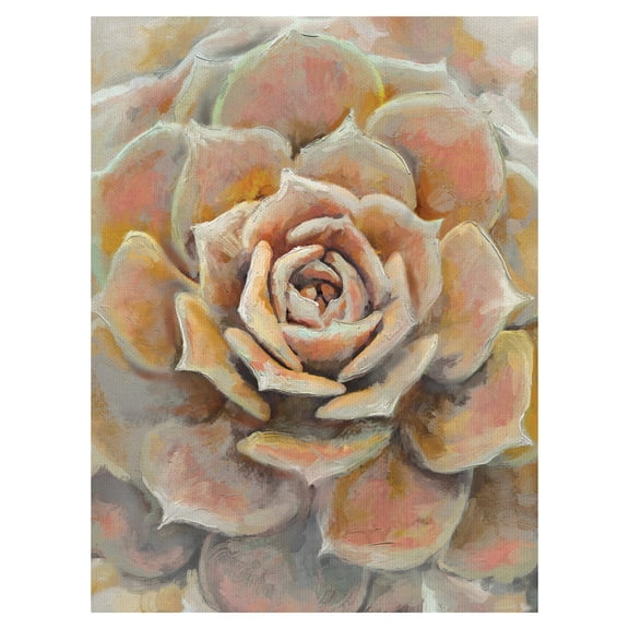 Masterpiece Art Gallery Desert Bloom Orange Succulent by Studio Arts Canvas Art Print 18" x 24"