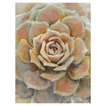 Masterpiece Art Gallery Desert Bloom Orange Succulent by Studio Arts Canvas Art Print 18" x 24"