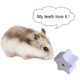 thumbnail image 4 of Hamster Chew Stone Small: 6PCS Calcium Teeth Grinding Lava Block Rabbit Chew Toy, 4 of 10