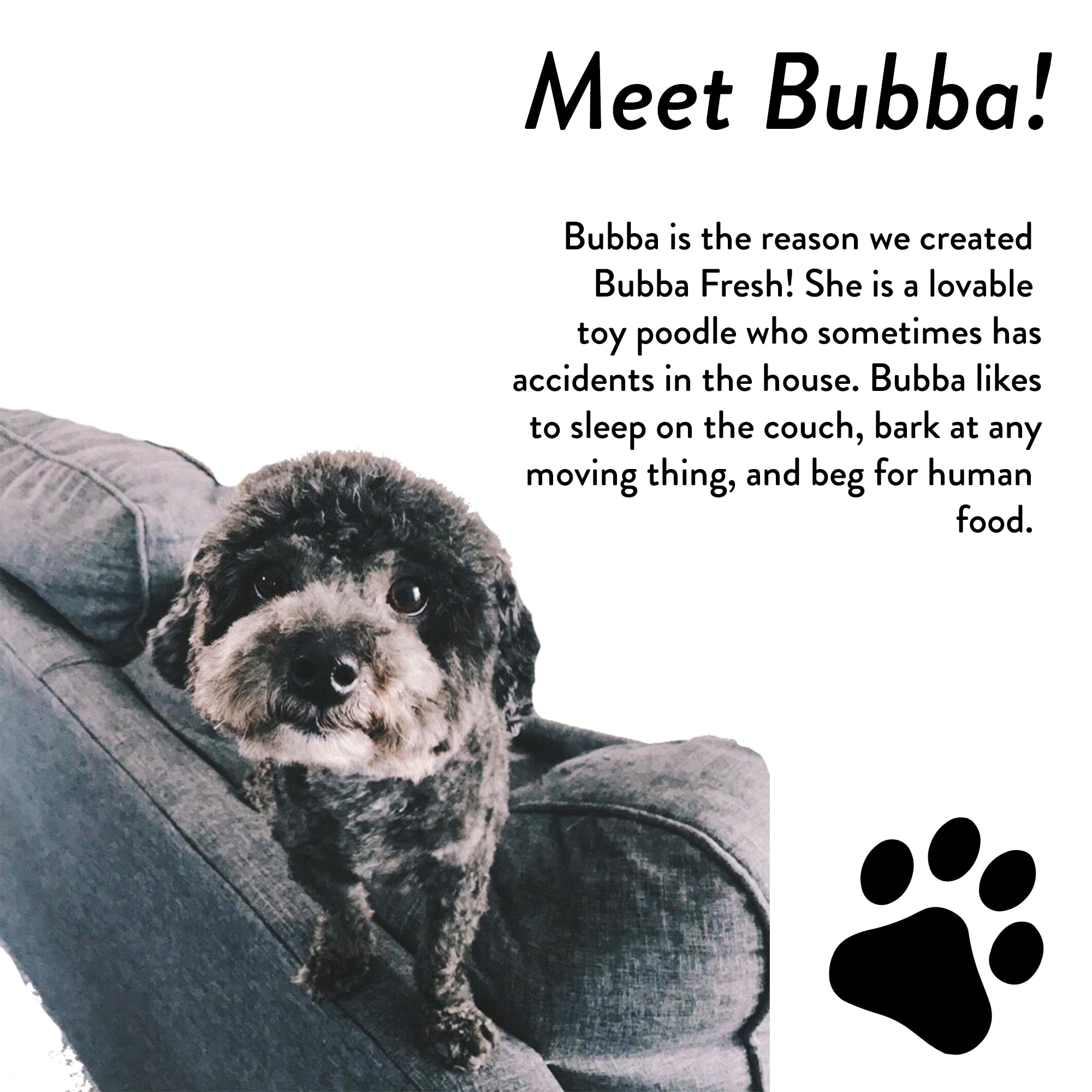 Bubba Fresh Stain & Odor Cleaner Remover, 16 oz. - Tough on Dog & Cat Spots, Stains, Blood, Dirt, Wine and More