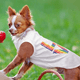 thumbnail image 4 of Camiseta para perro con estampado de amor, ropa cómoda de algodón para perros, camisa para perros de secado rápido, ropa de moda para mascotas, 4 of 5