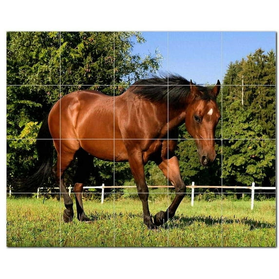 Horse Ceramic Tile Mural Kitchen Backsplash Bathroom Shower, 402861-M54
