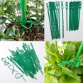 thumbnail image 5 of Attaches de Plantes Réglables 17cm 100 Pcs, Attaches de Plantes Réutilisables en Plastique Attaches Rapides pour Support de Plantes, 5 of 5