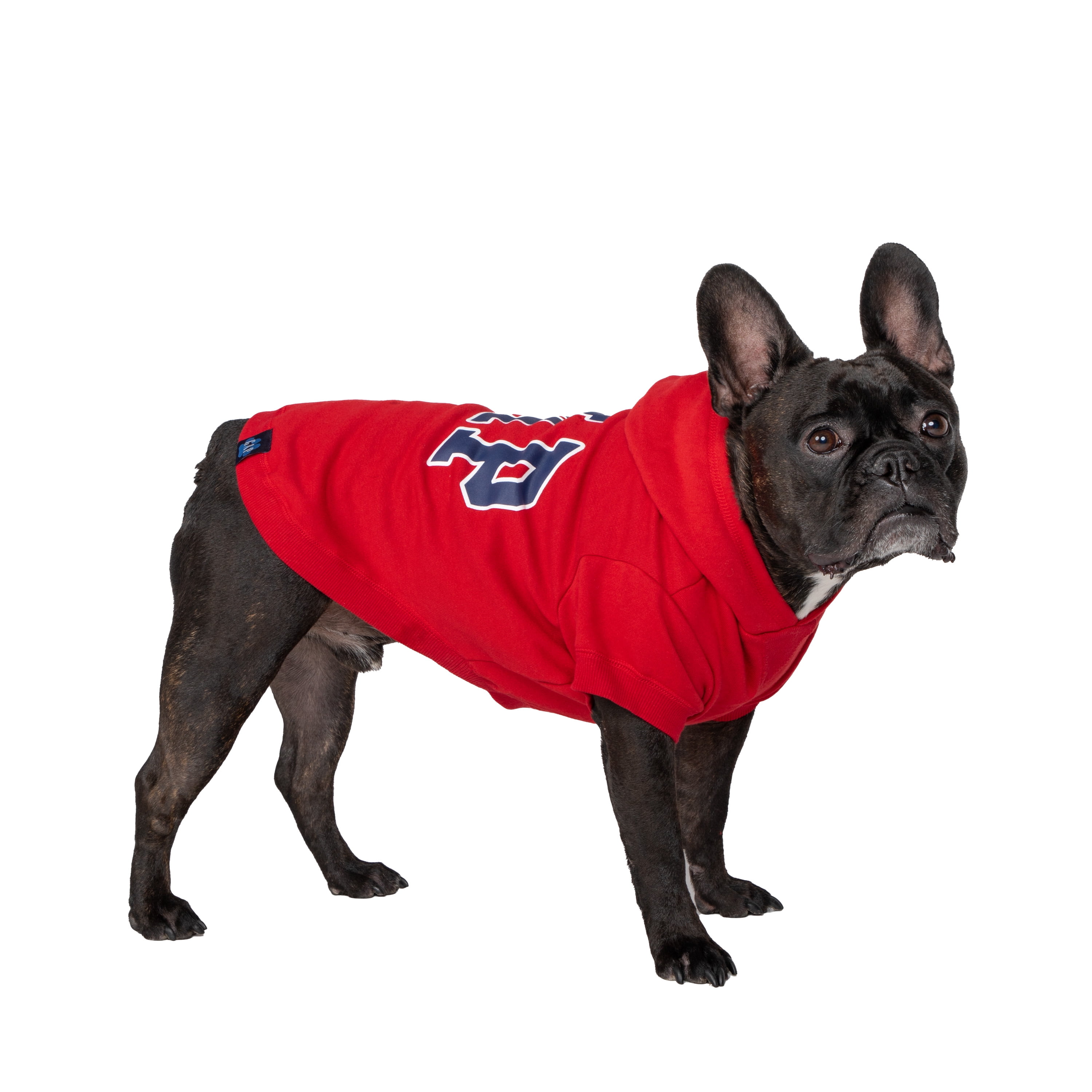 Red sox dog on sale jacket