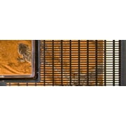 Exo Terra Large Faunarium