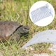 thumbnail image 1 of unbranded Plataforma De Basking Para Acuario Con Zona De Descanso Y Para Mascotas, 1 of 8