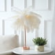 thumbnail image 4 of Lámpara de mesa de plumas con control remoto, luz USB, apliques de tocador para porche, decoración, iluminación blanco, 4 of 9