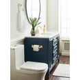 thumbnail image 2 of Amerock Mulholland Golden Champagne Pivoting Double Post Toilet Paper Holder, 2 of 8
