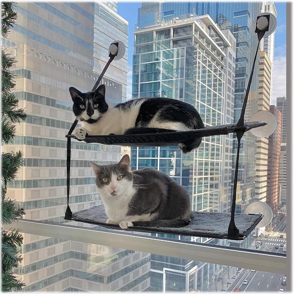 Double Stack Cat Window Perch, Sturdy Steel Frame Hammock for Large Cats, Strong Suction Cup Mount, Durable Kitten Bed for Sunbathing & Relaxing